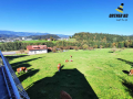 Haus-Bilder